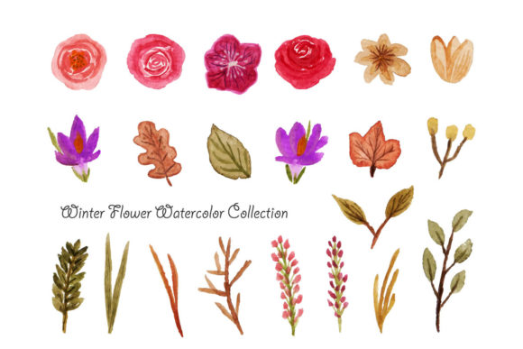 Download Winter Flower Watercolor - Flow Collection