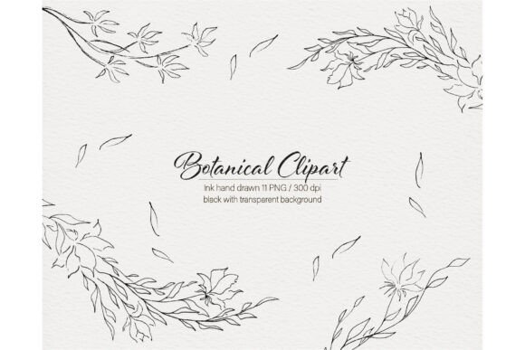 Download Modern Flowers Botanical Hand Drawn - Flow Collection