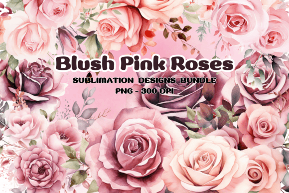 Download Blush Pink Roses Flowers Watercolor PNG - Flow Collection