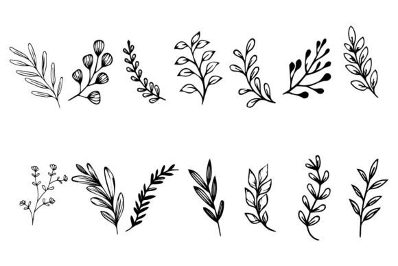 Download Botanical Leaf Wildflower Line Art - Flow Collection