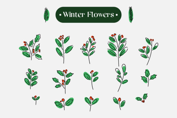 Download Set of Hand Drawn Winter Flower - Flow Collection