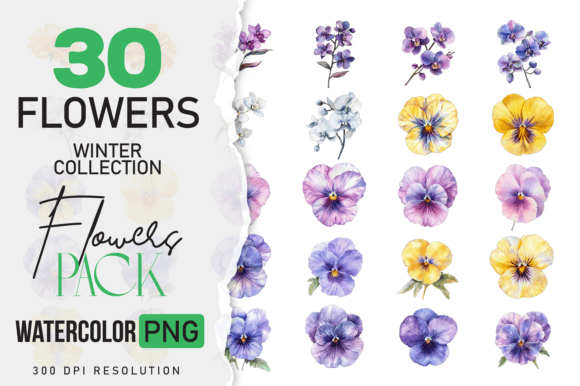 Download Watercolor Winter Flower &amp; Wildlife Pack - Flow Collection