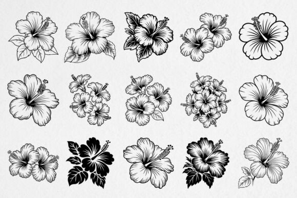 Download Hibiscus Flower SVG Bundle - Flow Collection