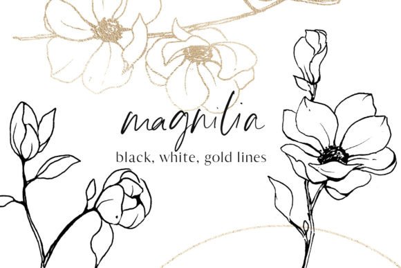 Download Flowers Magnolia Line Art Floral Set - Flow Collection