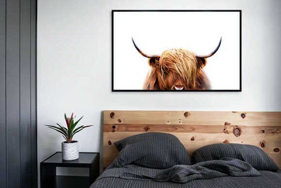 Download Highland Cow Printable Poster - Print Collection